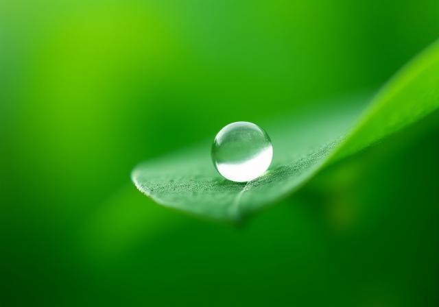 Ensuring your personal data remains private and secure